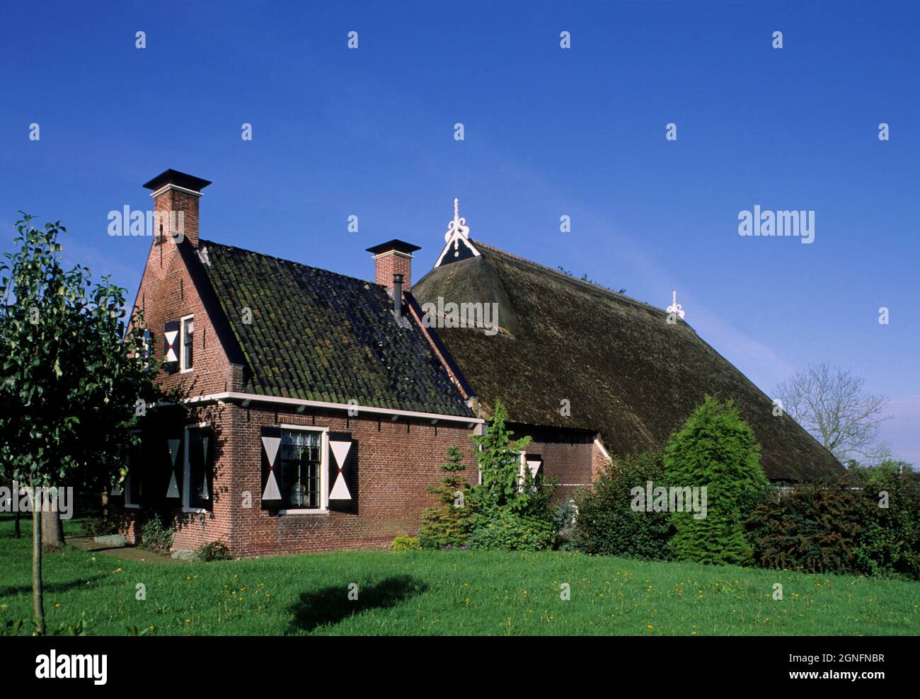 OLANDA, PAESI BASSI, FRISIA, FATTORIA Foto Stock