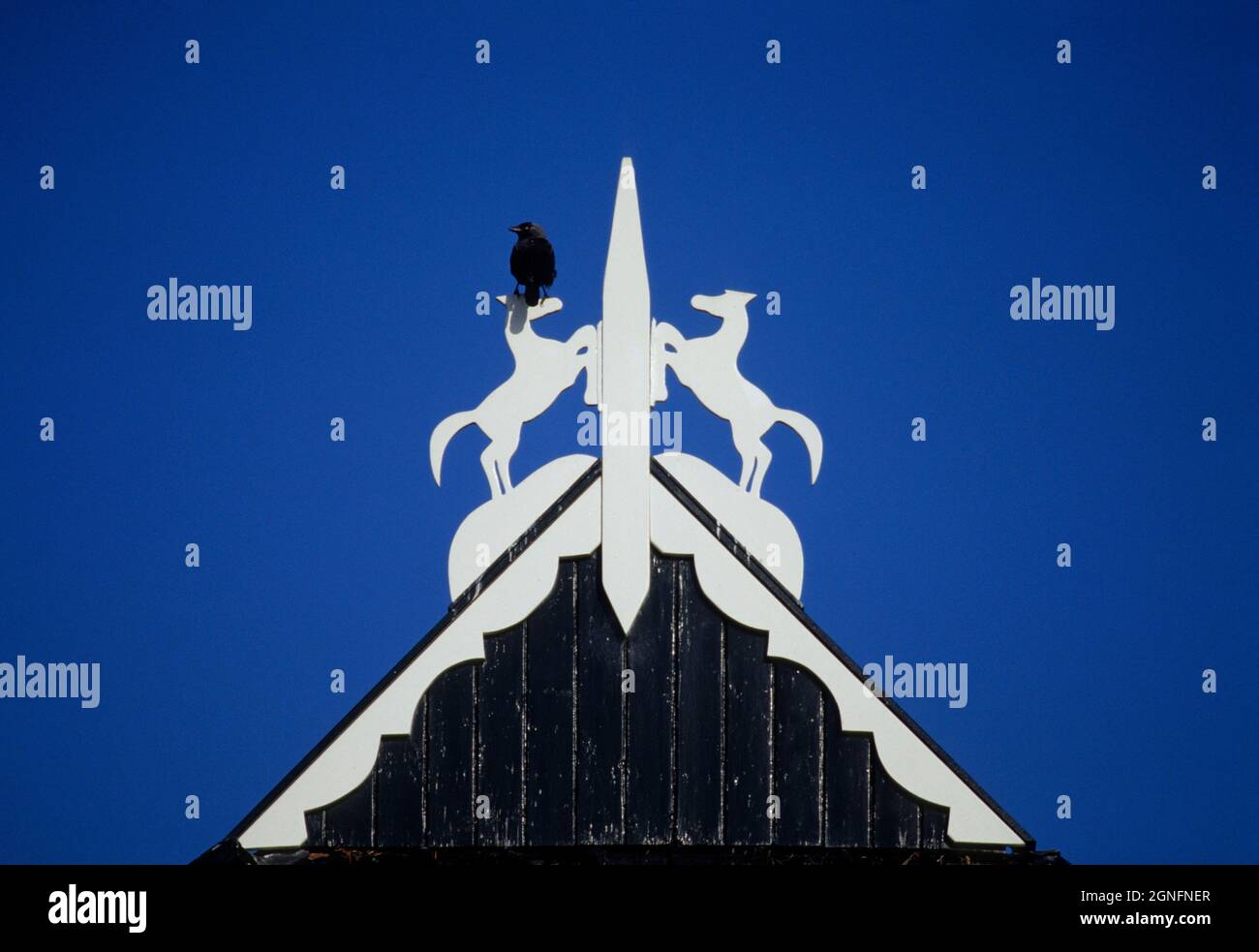 OLANDA, PAESI BASSI, FRISIA, FATTORIA Foto Stock