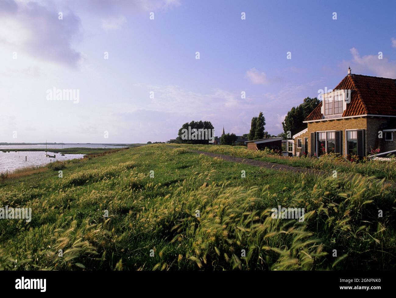 OLANDA, PAESI BASSI, FRISIA, VILLAGGIO DI MAKKUM Foto Stock