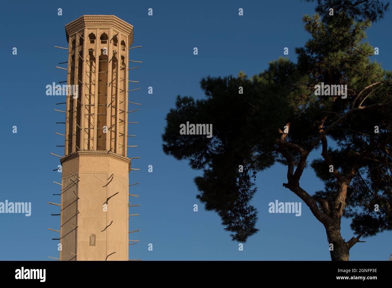 IRAN. CITTÀ DI YAZD. BAGH-E DOLAT ABAD Foto Stock