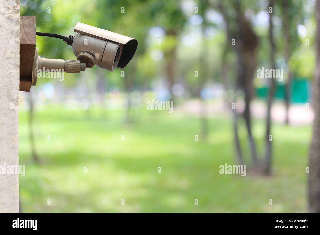 Sistema CCTV in giardino e hanno spazio di copia, strumentale in strumenti di sicurezza per monitor. Foto Stock