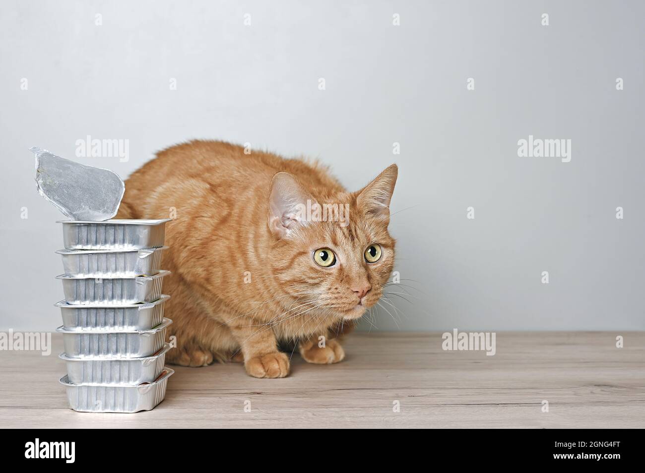 Carino gatto rosso che si siette accanto a lattine impilate di cibo umido gatto e guardare incuriosito via. Foto Stock