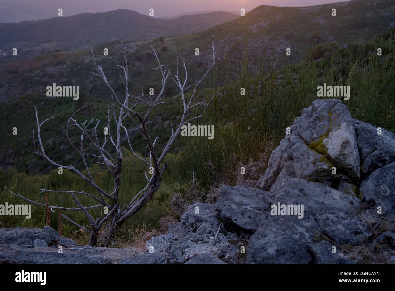 Serra do Soajo, o Soajo Mountains, una delle catene montuose che fanno parte del Parco Nazionale Peneda-Gerês, nel nord del Portogallo. Foto Stock