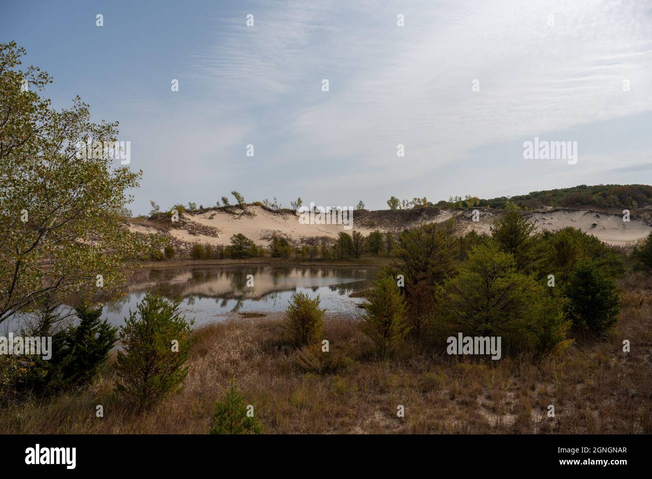 Inland Pond e Sand Dunes al largo del lago Michigan nell'Indiana Dunes National Park Foto Stock