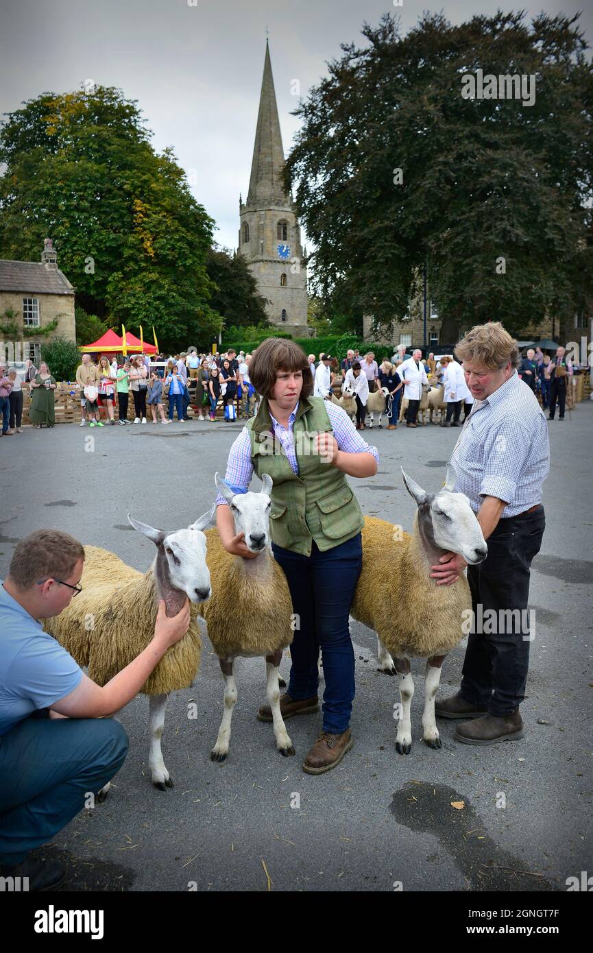 Masham Sheep Fair 2021 North Yorkshire Inghilterra Foto Stock