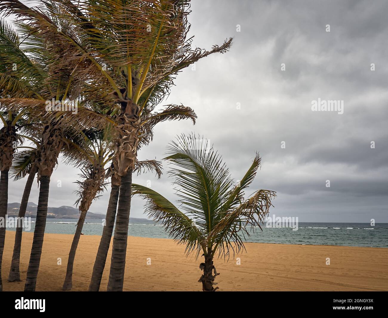 La spiaggia 'Playa de Canteras' nella capitale 'Las Palmas de Gran Canaria' con il tempo nuvoloso. In primo piano sono diversi giovani pa Foto Stock