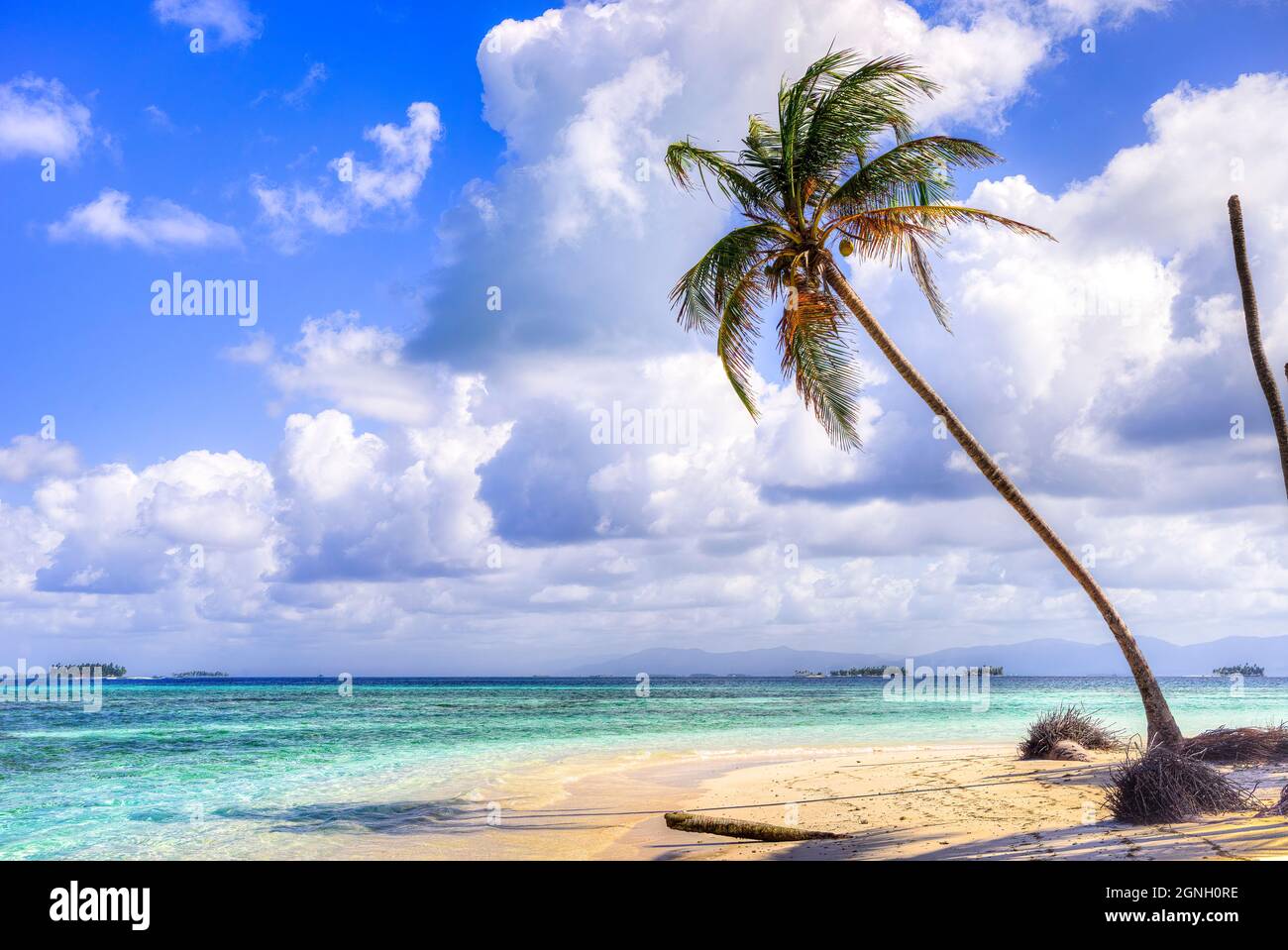 Palma spiaggia scena Kuna Yala Isole, San Blas Panama Foto Stock