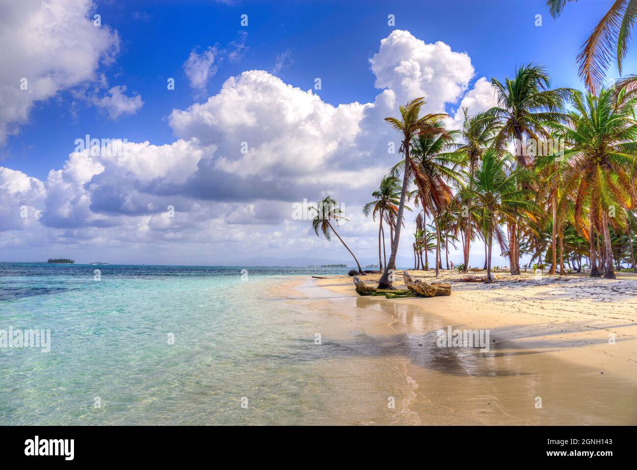 Isola tropicale con palme nelle Isole Kuna Yala, San Blas Panama Foto Stock