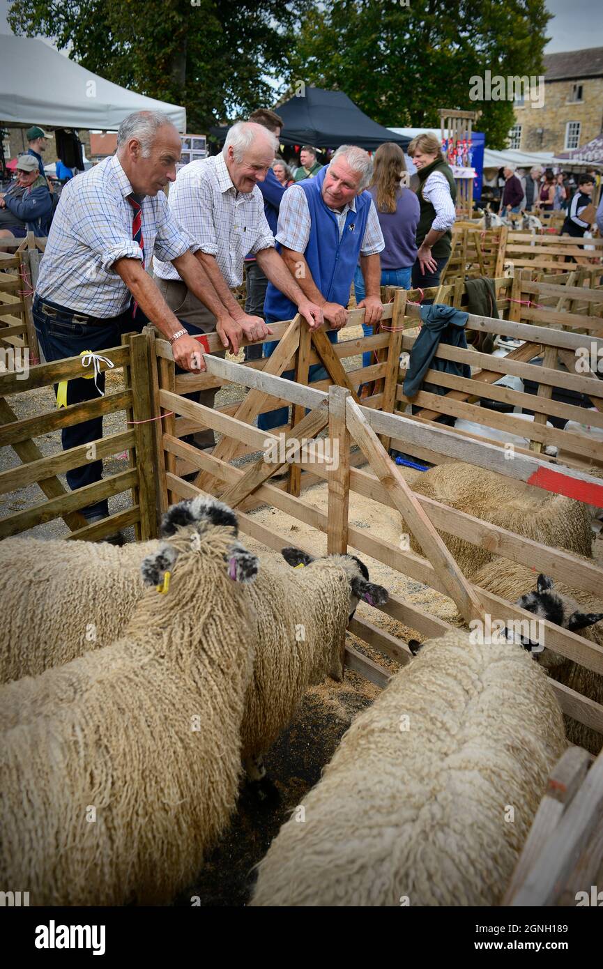 Masham Sheep Fair 2021 North Yorkshire Inghilterra Foto Stock