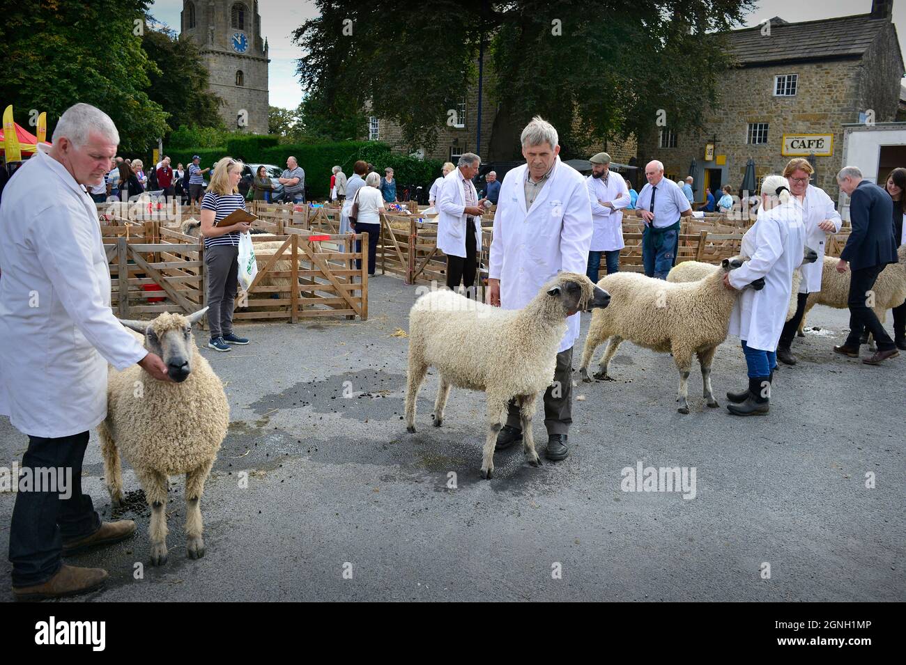 Masham Sheep Fair 2021 North Yorkshire Inghilterra Foto Stock