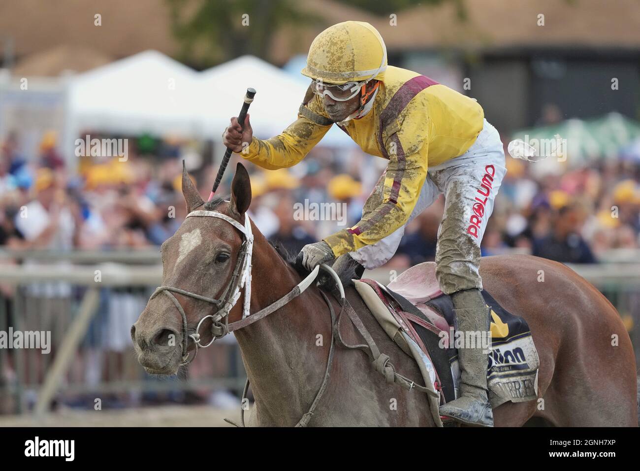 Bensalem, PA, Stati Uniti. 25 Settembre 2021. 25 settembre 2021: Clairiere #6, cavalcato dal jockey Ricardo Santana Jr. Vince il Derby di grado 1 della Pennsylvania al Parx Racing and Casino a Bensalem, Pennsylvania il 25 settembre 2021. Scott SerioEclipse SportswireCSM/Alamy Live News Foto Stock