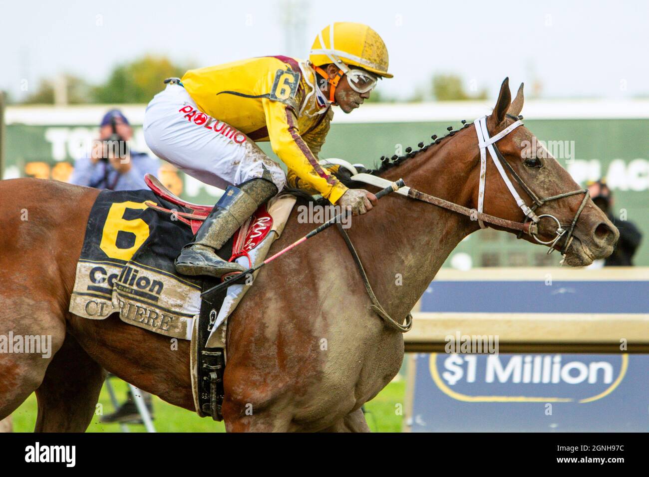 Parx Racing, Bensalem, PA, USA. 24 settembre 2021. Bensalem, PA, USA: 25 SETTEMBRE 2021: Clairiere, guidato da Ricardo Santana Jr., vince la Gr.1 Cotillion Stakes, per fillies di 3 anni, andando 1/16mile, a Parx Racing, Bensalem, PA. Sue Kawczynski/Eclipse Sportswire/CSM/Alamy Live News Foto Stock