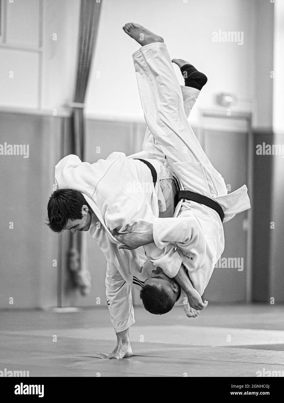 Judoka con cintura nera che fa la tecnica Harai goshi judo (uno dei 40 tiri originali di Judo sviluppati da Kano Jigoro). (illustrazione judo) Foto Stock