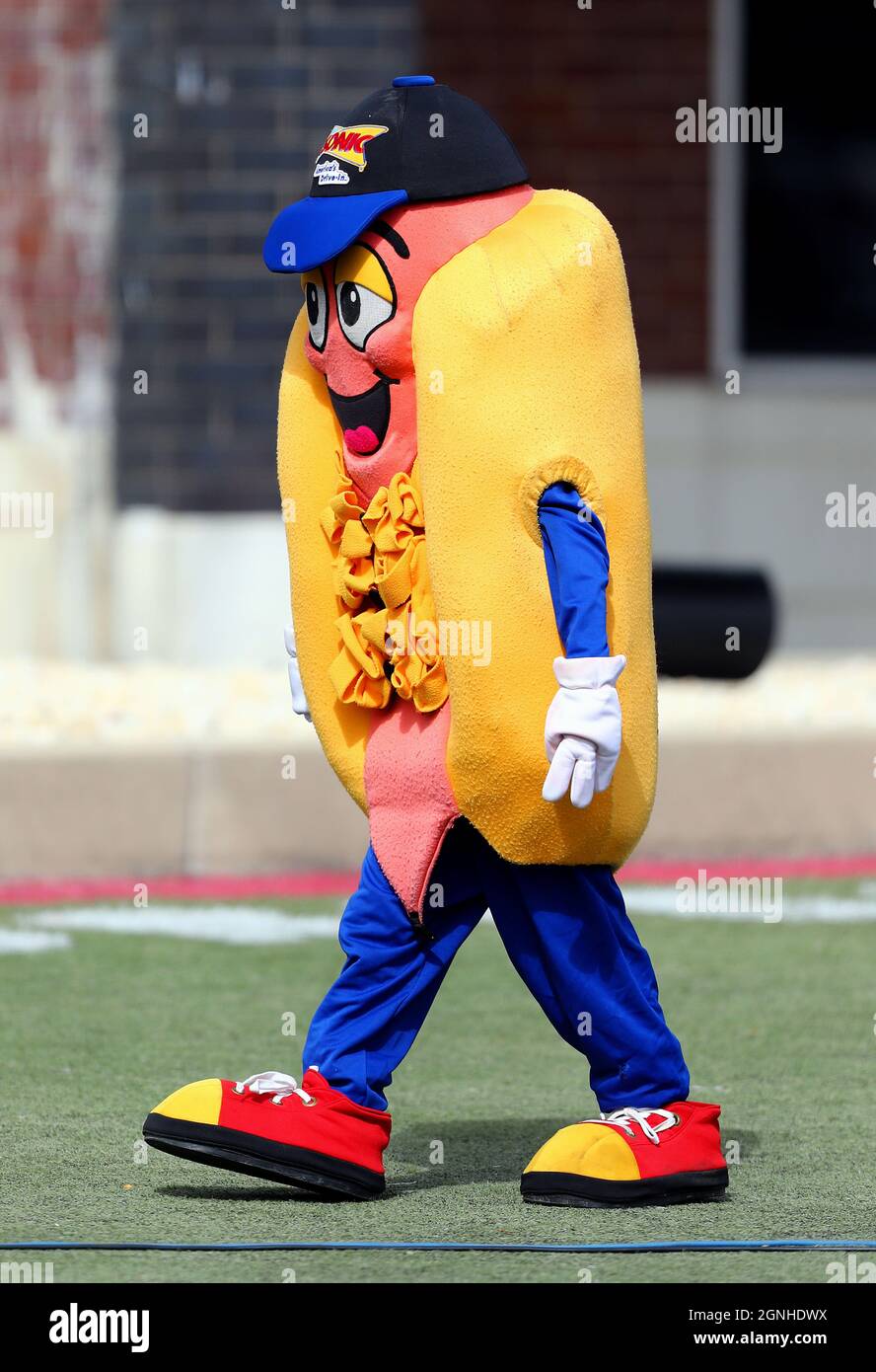 DeKalb, il, USA. 25 Settembre 2021. 25 settembre 2021 Dekalb, Illinois, Stati Uniti d'America: Una persona vestita come una mascotte del hot dog del ristorante SONIC Drive-in durante una promozione ad una partita di football dell'università dell'Illinois settentrionale a DeKalb, Illinois. (Credit Image: © H. Rick Bamman/ZUMA Press Wire) Foto Stock