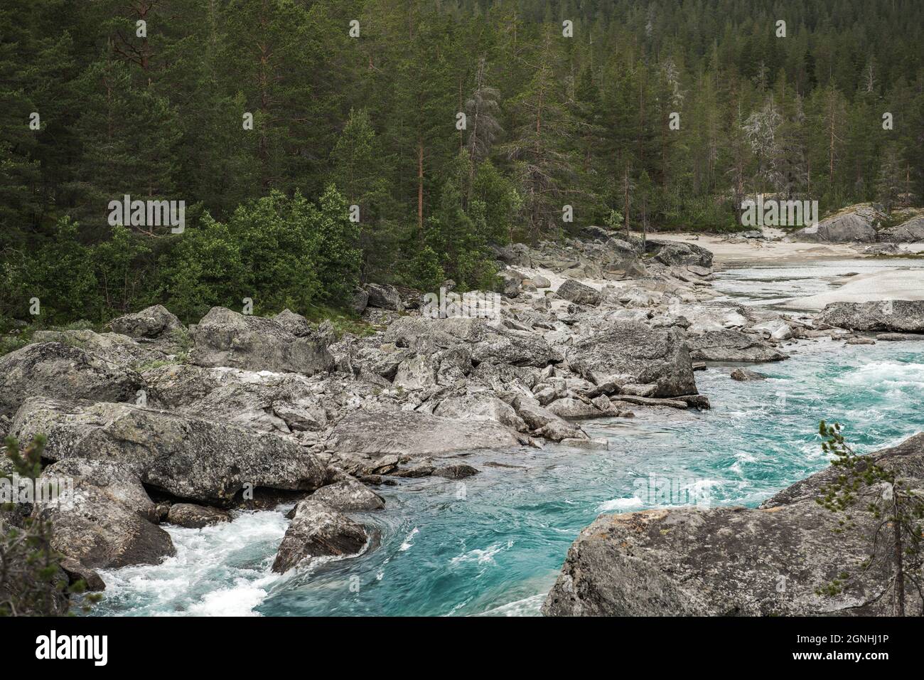 Scenic Woodland e Turquoise River Vestland County Norway. Paesaggio roccioso e fiume proclaciale. Foto Stock