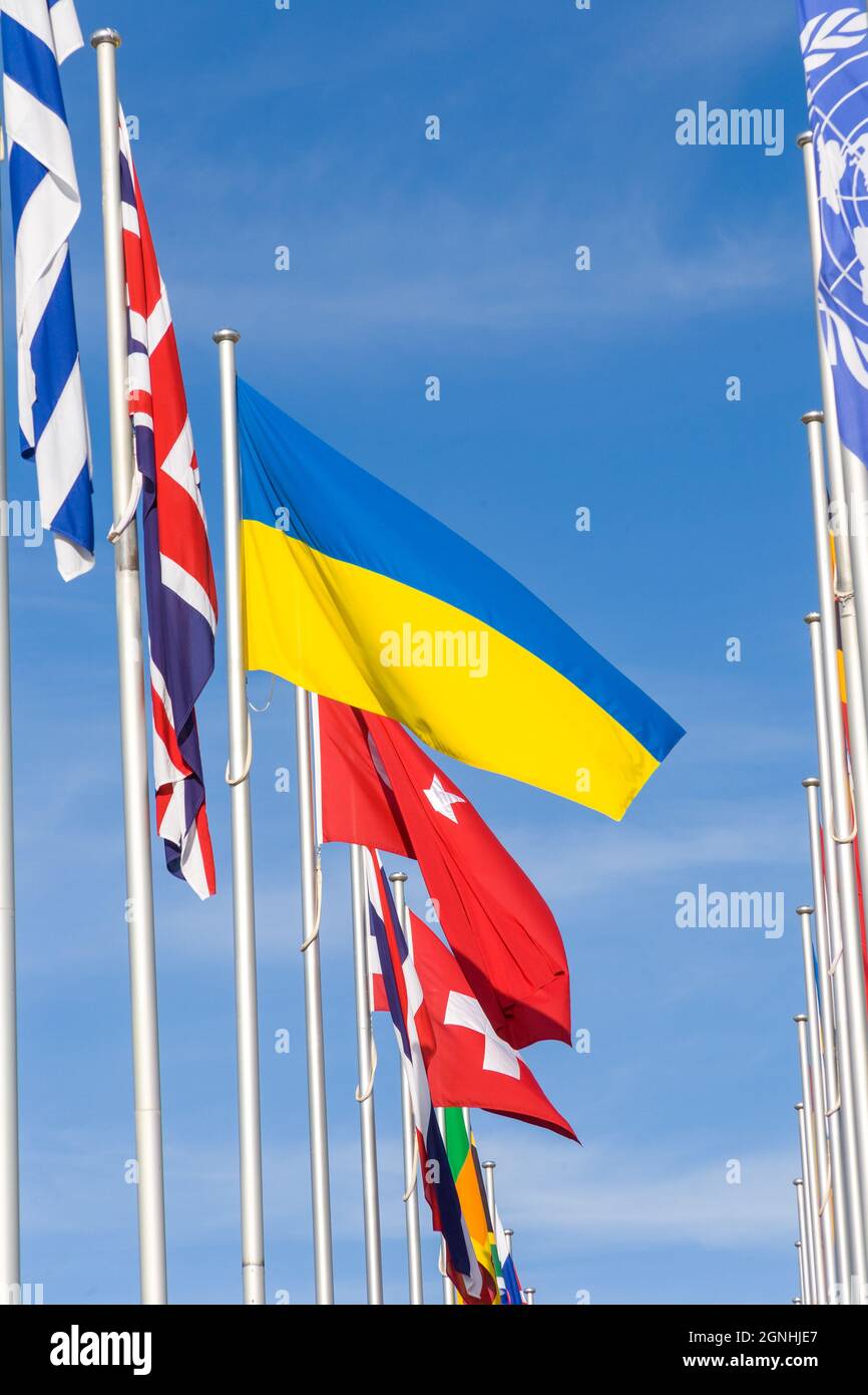 bandiere di molte nazioni a canberra Foto Stock
