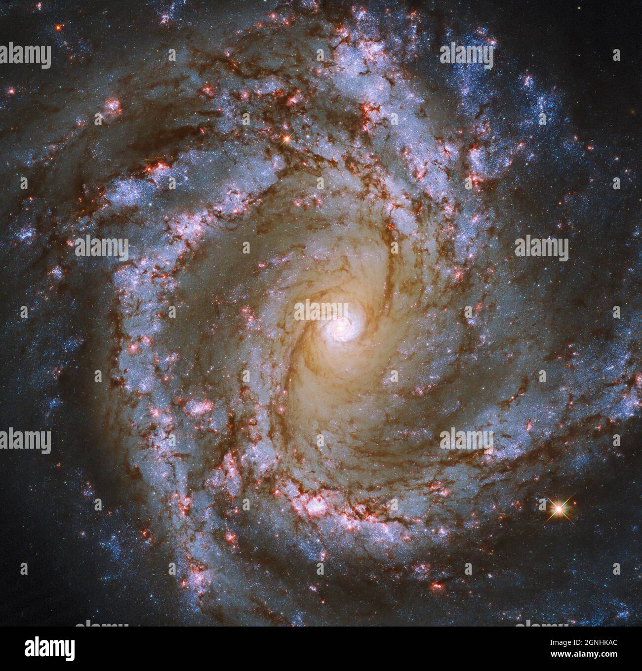 M61 una galassia a spirale nel cluster galattico Virgo. Fonte immagine NASA/ESA Hubble Space Telescope Foto Stock