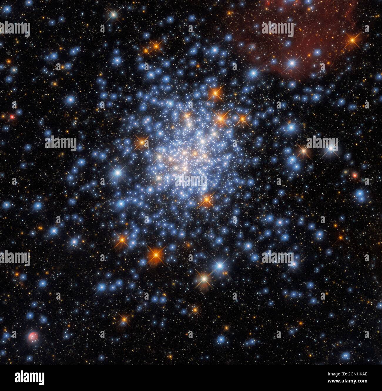 Open STAR cluster NGC 330, che si trova a circa 180,000 anni luce all'interno della piccola nuvola Magellanica. . Fonte immagine NASA/ESA Hubble Space Telescope Foto Stock