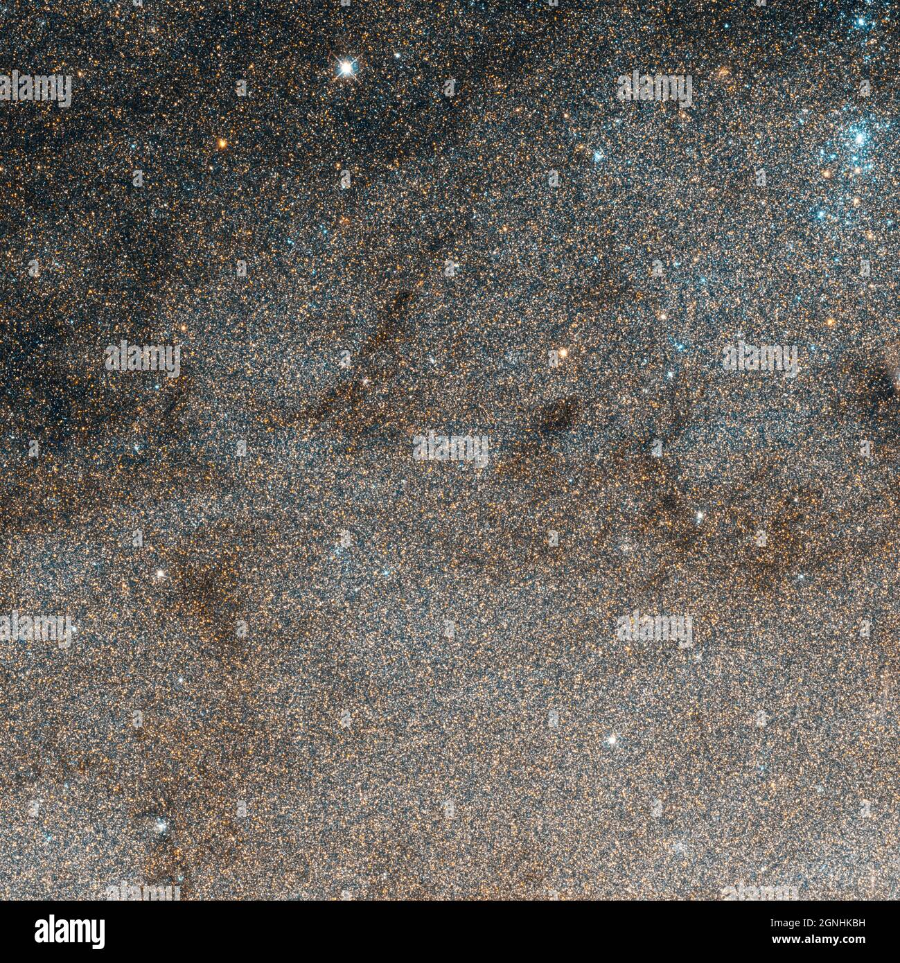 Miliardi di stelle in M31, la galassia Andromeda. Fonte immagine NASA/ESA Hubble Space Telescope Foto Stock
