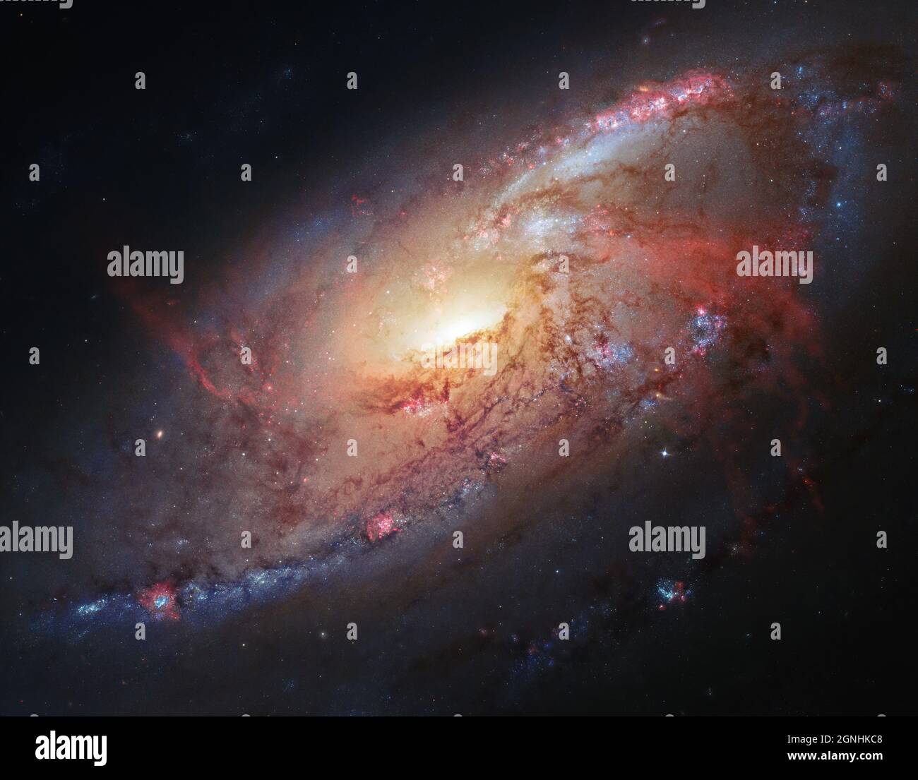 M106 è una galassia attiva Seyfert II. Si ritiene che grandi quantità di gas dalla galassia cadano e alimentino un buco nero supermassiccio contenuto nel nucleo. Conosciuto anche come NGC 4258, M106 si trova a 23.5 milioni di anni luce, nella costellazione Canes Venatici. . Fonte immagine NASA/ESA Hubble Space Telescope Foto Stock