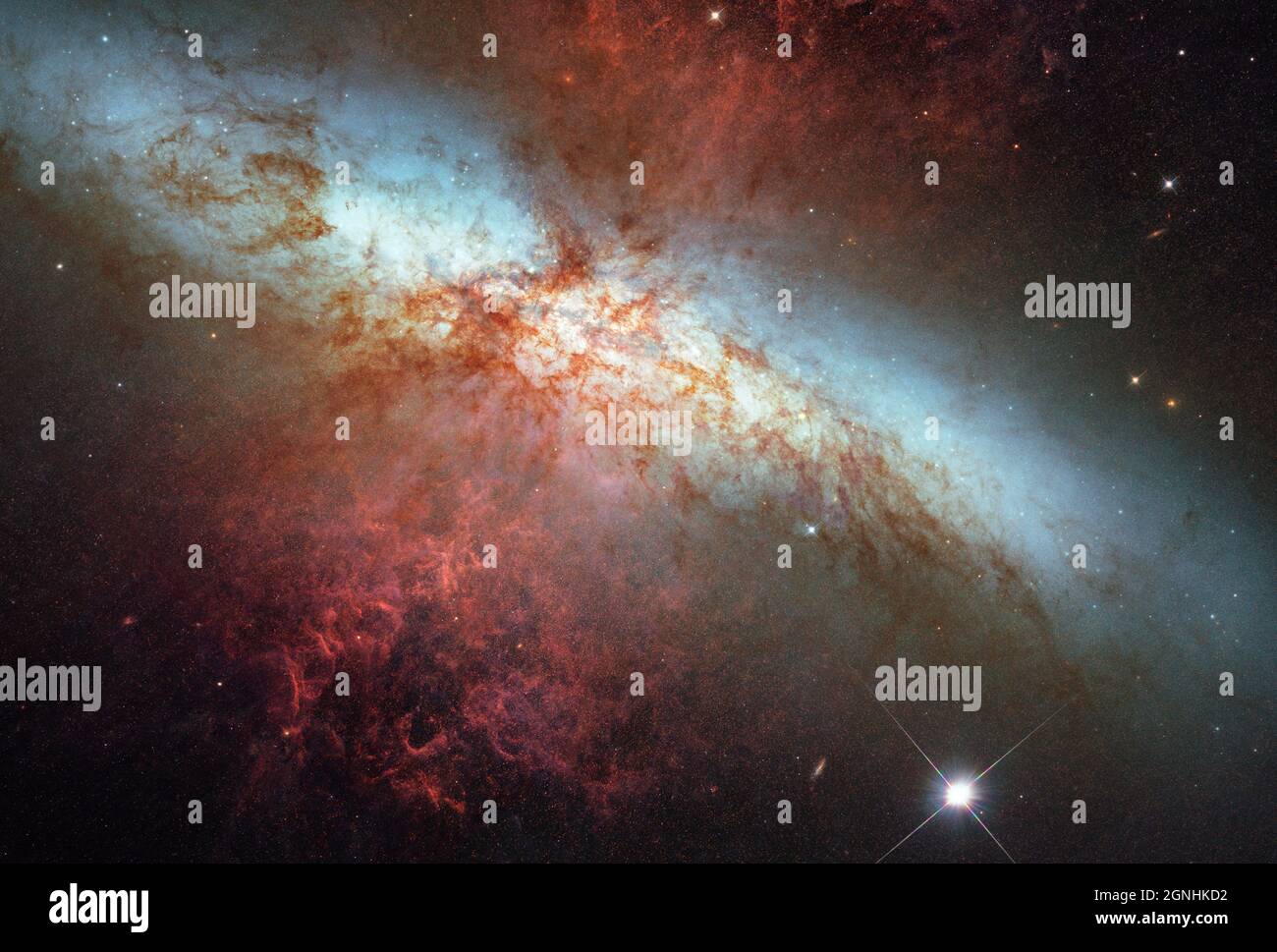 Messier 82 (noto anche come NGC 3034, Cigar Galaxy o M82) è una galassia starburst a circa 12 milioni di anni luce di distanza nella costellazione Ursa Major. La stella luminosa nella parte inferiore dell'immagine è una supernova di tipo 1a denominata SN2014J. Fonte immagine NASA/ESA Hubble Space Telescope Foto Stock