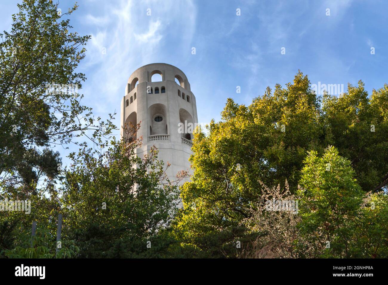 San Francisco, Stati Uniti. Giugno 2009. Vista della Coit Tower come si vede nel quartiere di Telegraph Hill di San Francisco, California. Foto Stock