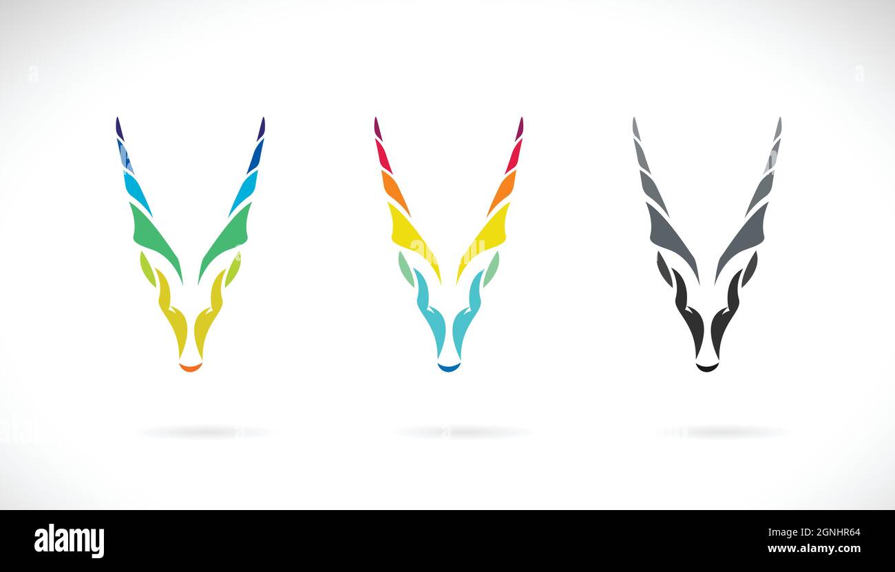 Vettore di testa di capra o disegno corale su sfondo bianco. Illustrazione vettoriale a livelli facilmente modificabile. Animali selvatici. Illustrazione Vettoriale