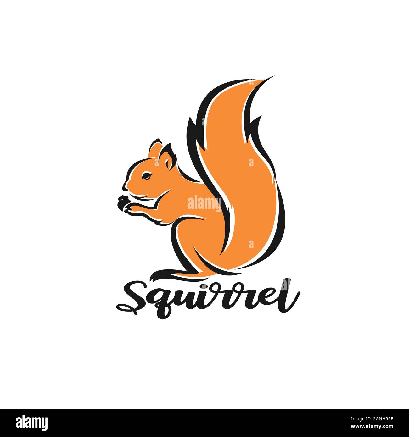 Vettore di disegno scoiattolo su sfondo bianco. Illustrazione vettoriale a livelli facilmente modificabile. Animali selvatici. Illustrazione Vettoriale