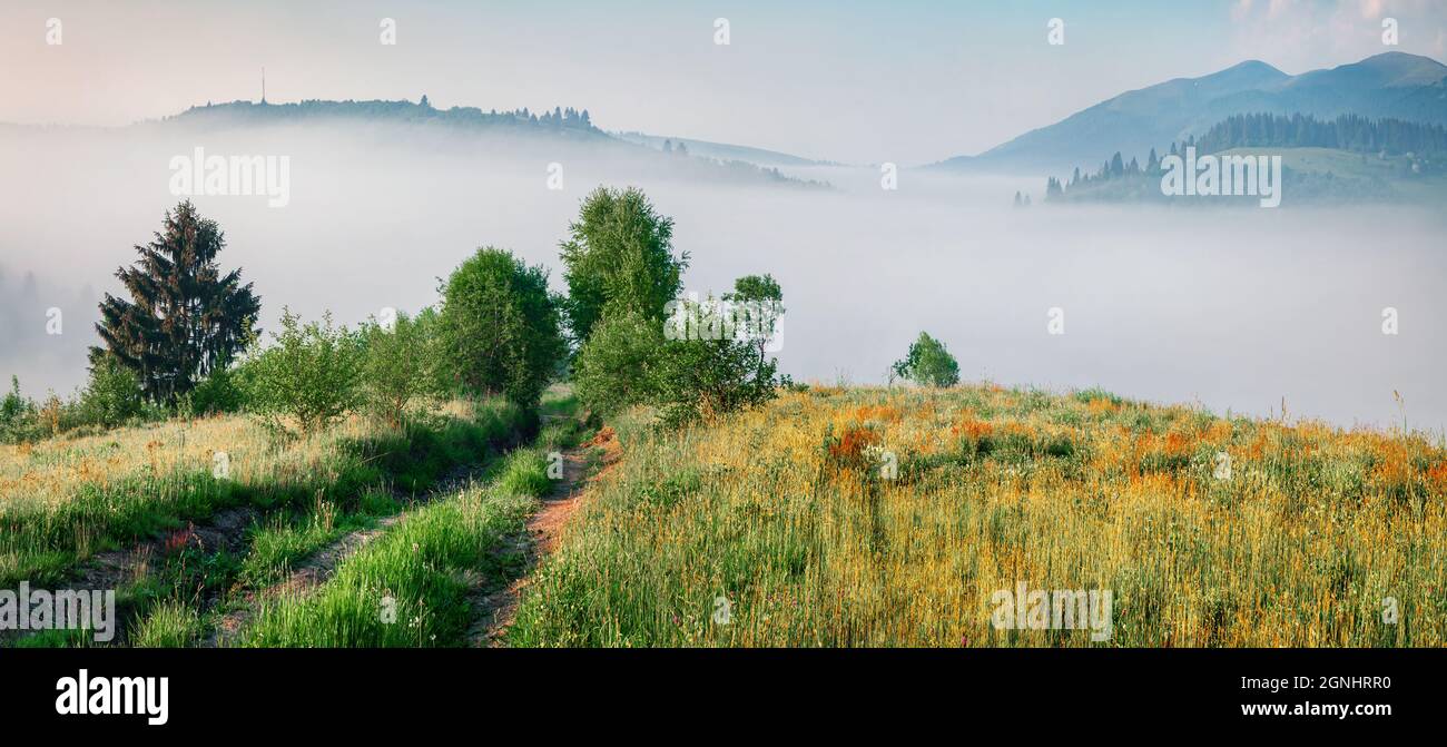 Vista panoramica mattutina della campagna montana con strada vecchia. Nebbia scena estiva di Carpazi, Ucraina, Europa. Bellezza della natura concetto sfondo. Foto Stock