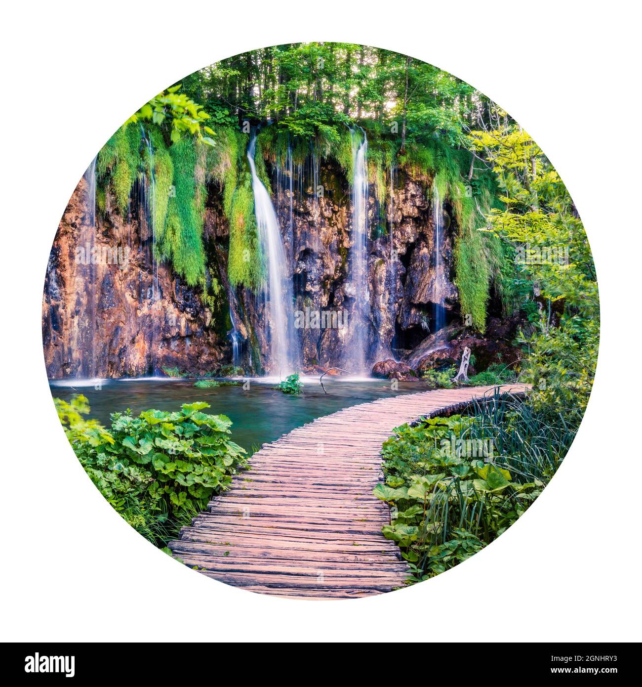 Icona rotonda della natura con paesaggio. Affascinante vista mattutina del Parco Nazionale di Plitvice. Colorata scena primaverile di foresta verde con acqua pura Foto Stock