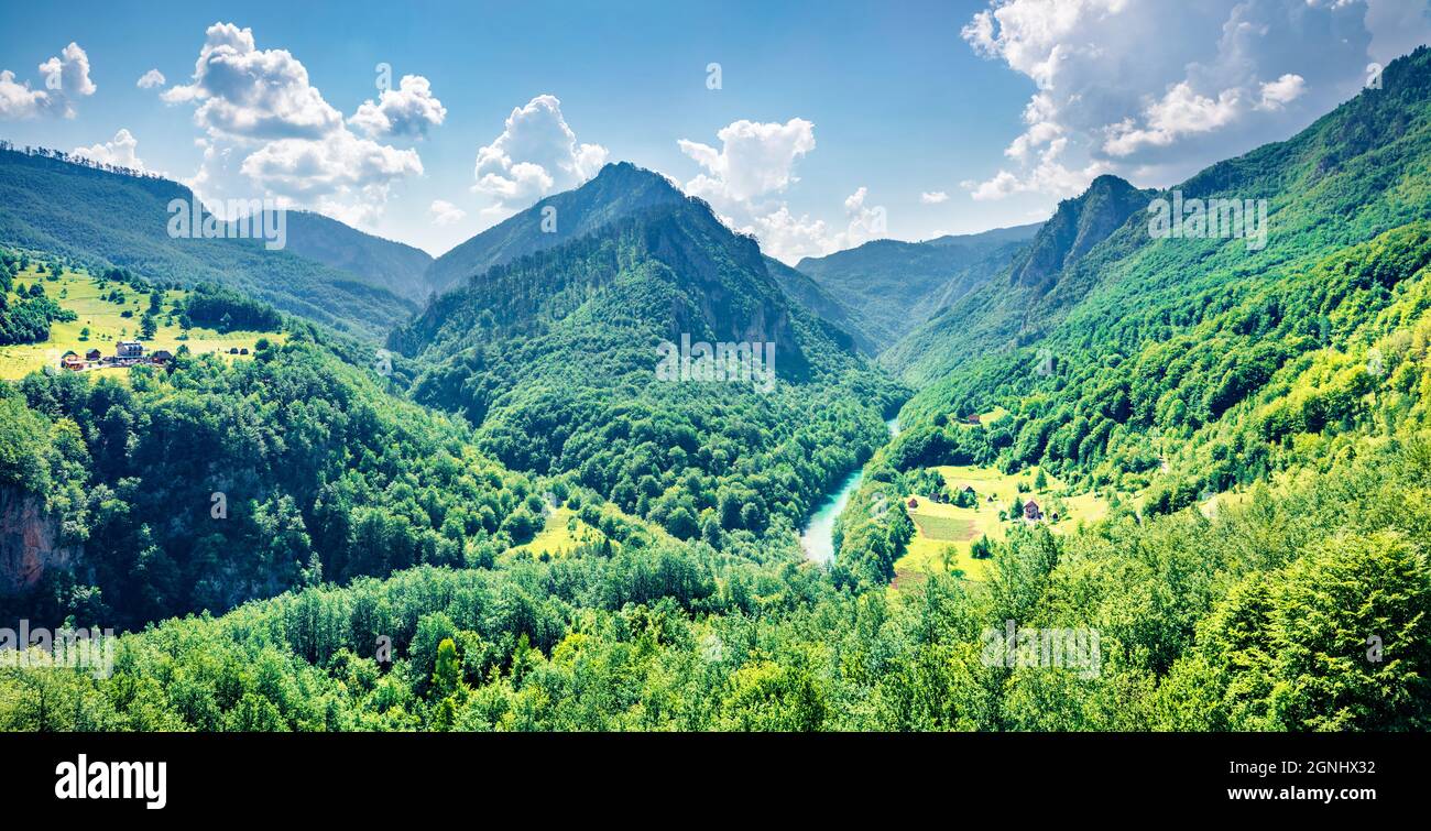 Dal ponte di Djurdjevica sul fiume Tara si apre una vista incredibile. Luminosa vista mattutina del Montenegro, Europa. Bel mondo di cou Mediterraneo Foto Stock