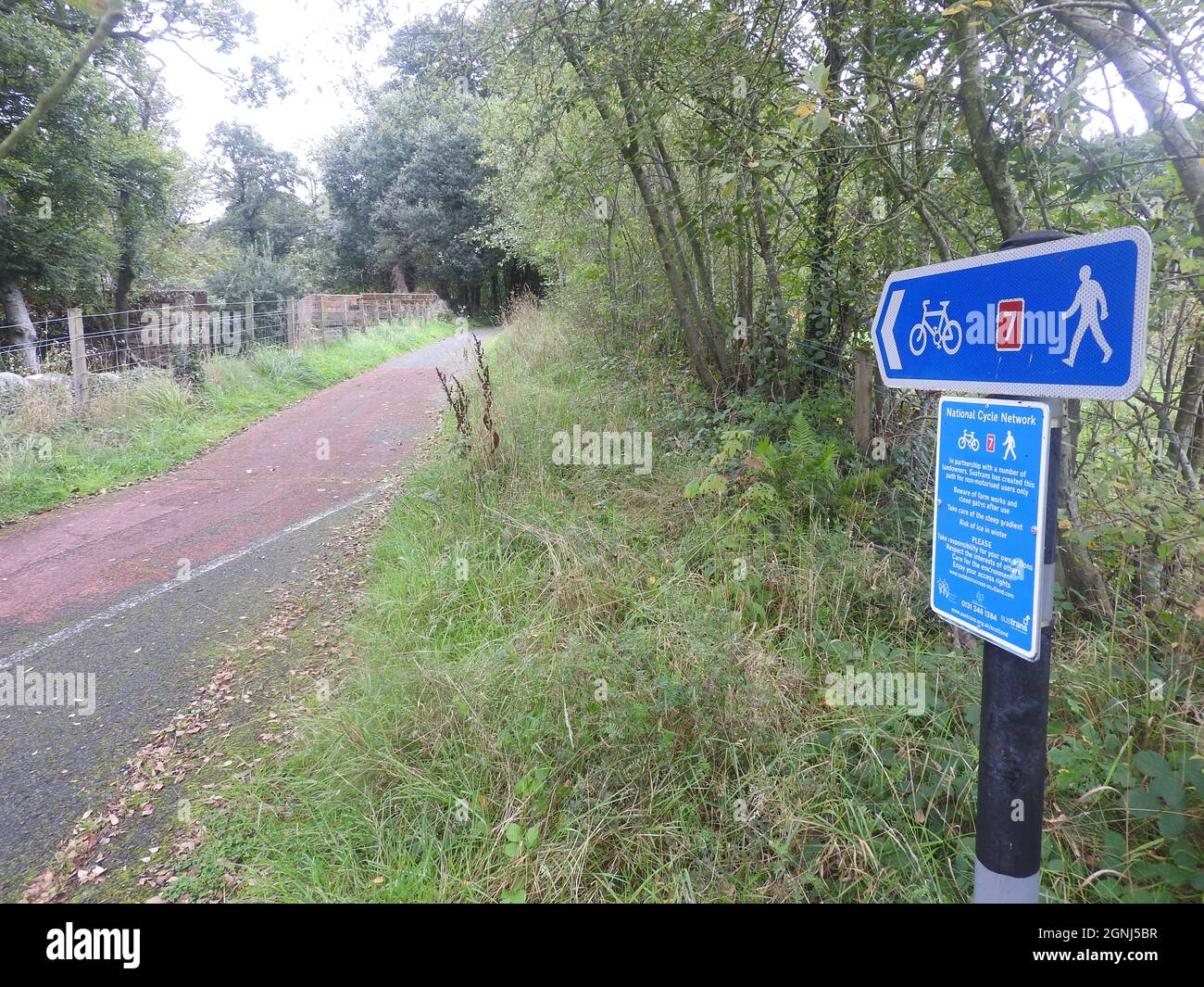Scotland National Cycle Route 7 Palnure a Creetown sezione , Dumfries e Galloway che segue la vecchia pista ferroviaria asfaltata Foto Stock