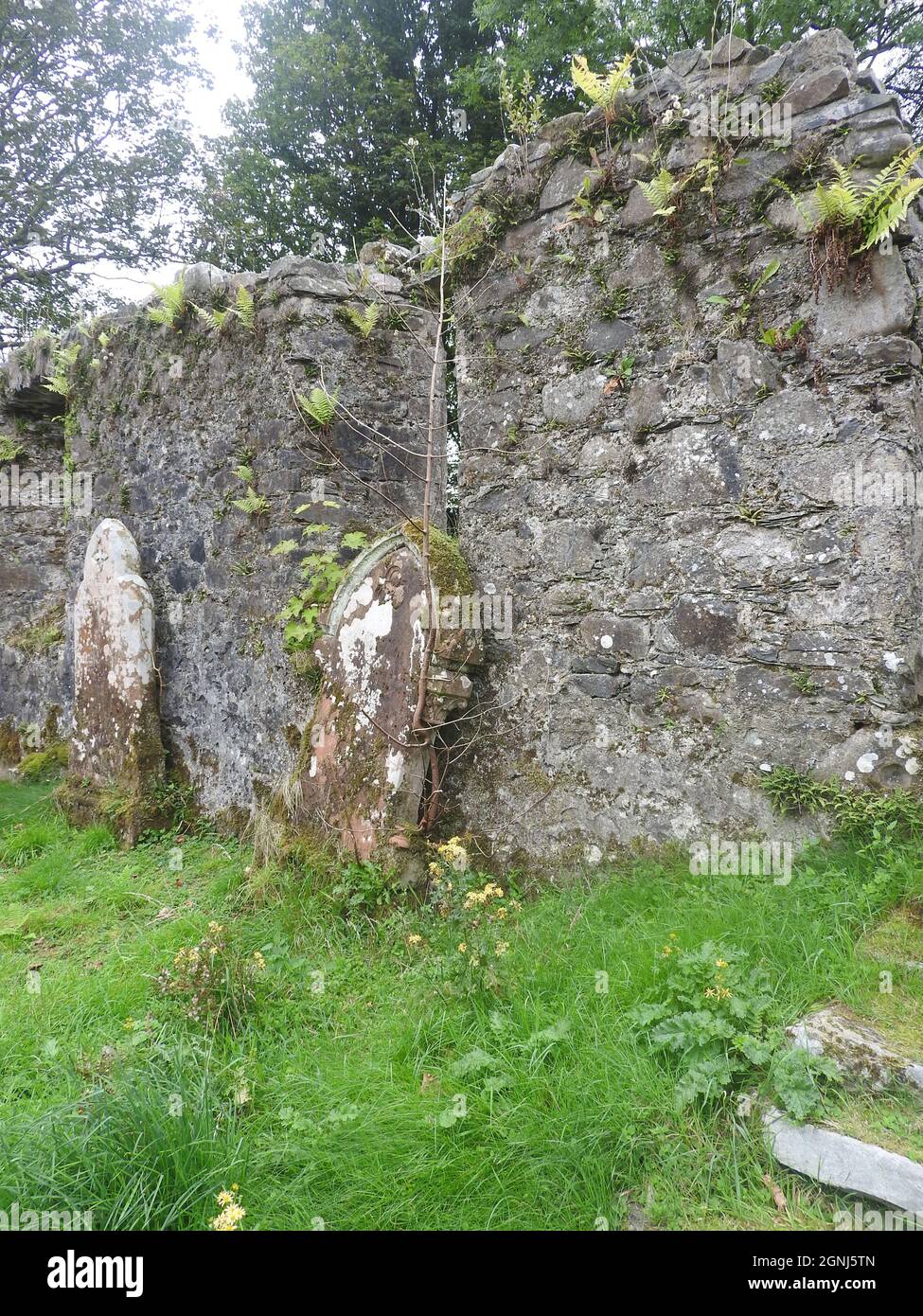 Nei terreni di Monigaff (Minnigaff) chiesa o Kirk , vicino Newton Stewart, Dumfries e Galloway. La 'nuova' chiesa è una chiesa di B listed costruita nel 1836 su un disegno gotico di Revival da William Burn. All'interno dello stesso terreno si trovano i resti della vecchia chiesa (sepolture interne qui mostrate) con relative sepolture segnate con vecchie lapidi. E 'costruito sul sito di un vecchio castello motte e bailey Foto Stock