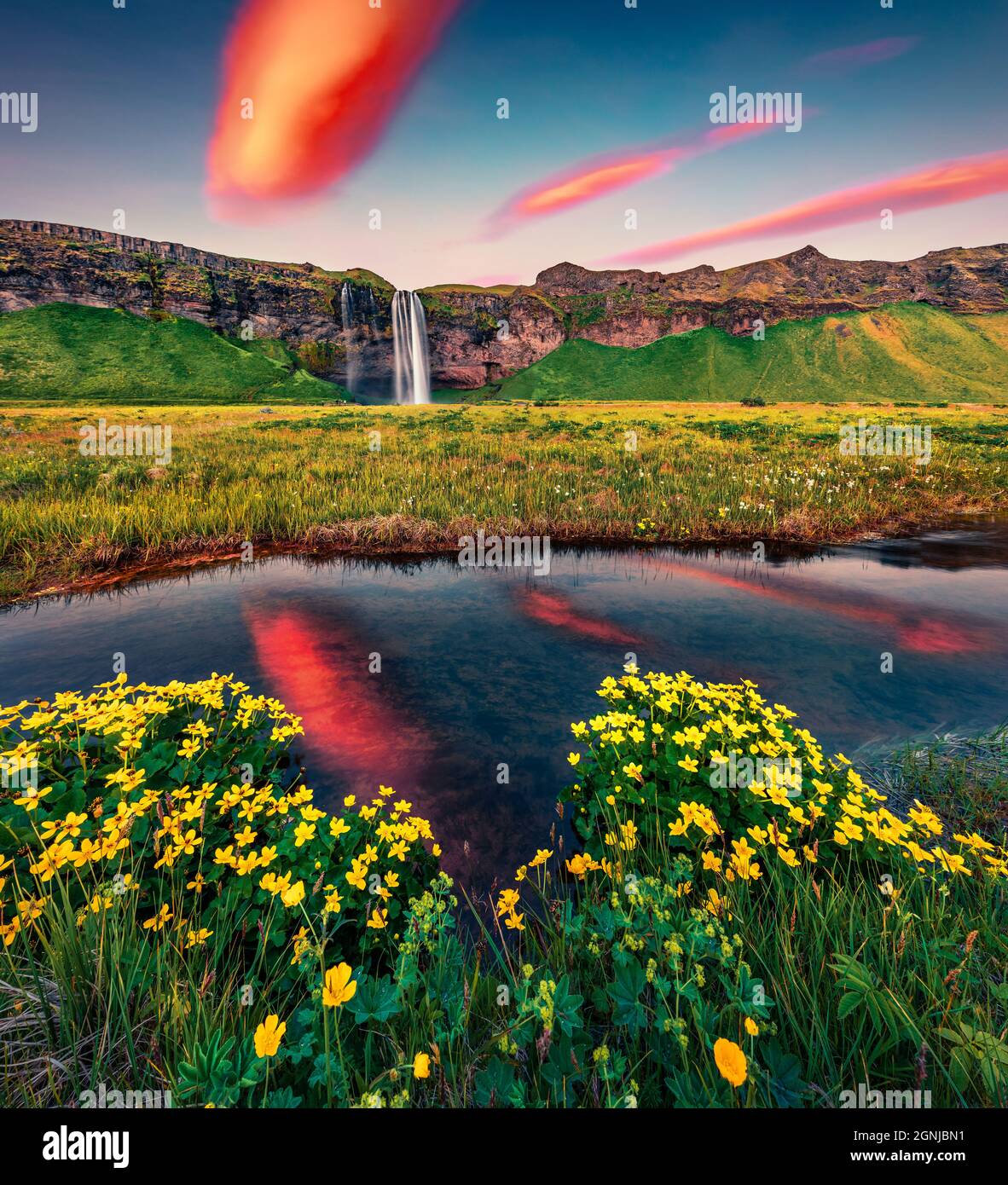 Sorprendente alba estiva su Seljalandsfoss - dove i turisti possono camminare dietro le acque cadenti. Scena mattutina calma dell'Islanda, dell'Europa. Bellezza del nat Foto Stock