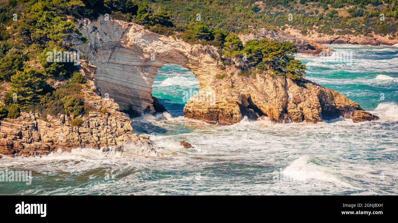 L'aragia nel Parco Nazionale del Gargano, località Torre di San Felice, regione Puglia, Italia, Europa. Fantastico mare Adriatico al mattino. Bellezza Foto Stock