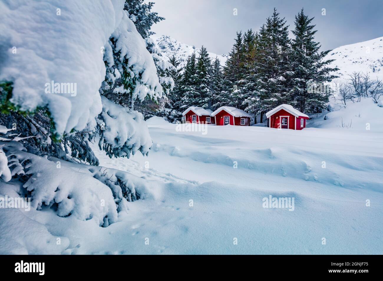 Tradizionali case di legno rosso norvegese sotto la neve fresca. Incredibile scena invernale delle isole Lofoten sulla riva del fiordo di Kongsjordpolline, Vest Foto Stock