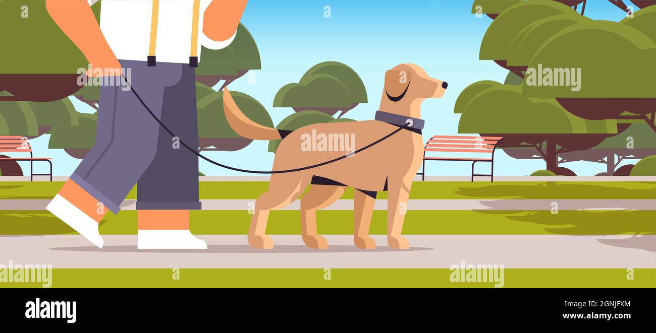 giovane uomo che cammina con il cane nel parco maschio proprietario e simpatica amicizia animale domestico con concetto di animale domestico Illustrazione Vettoriale