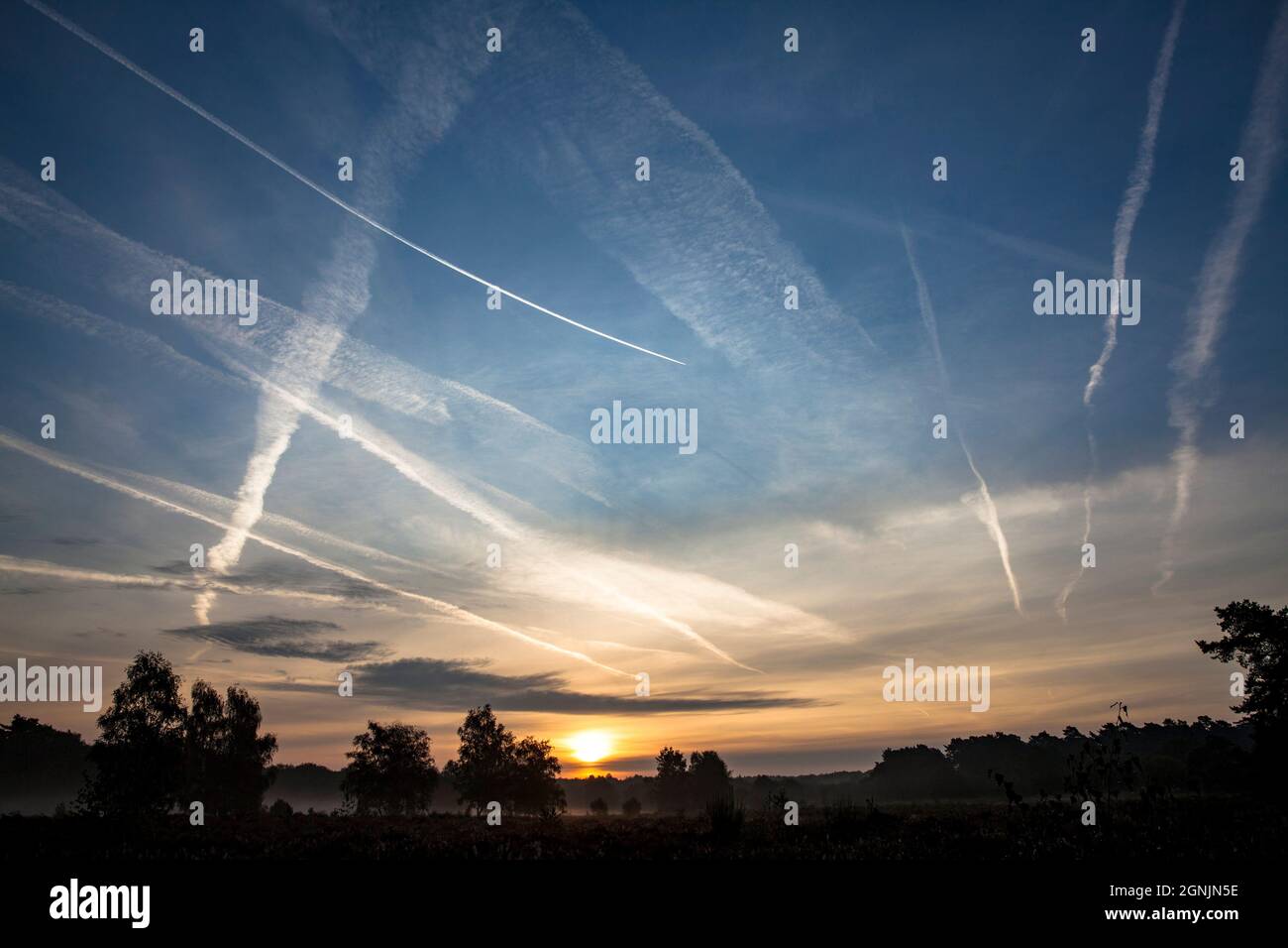 Piste di condensazione sopra la brughiera di Wahner, Troisdorf, Renania settentrionale-Vestfalia, Germania. Kondensstreifen ueber der Wahner Heide, Troisdorf, Nordrhein- Foto Stock