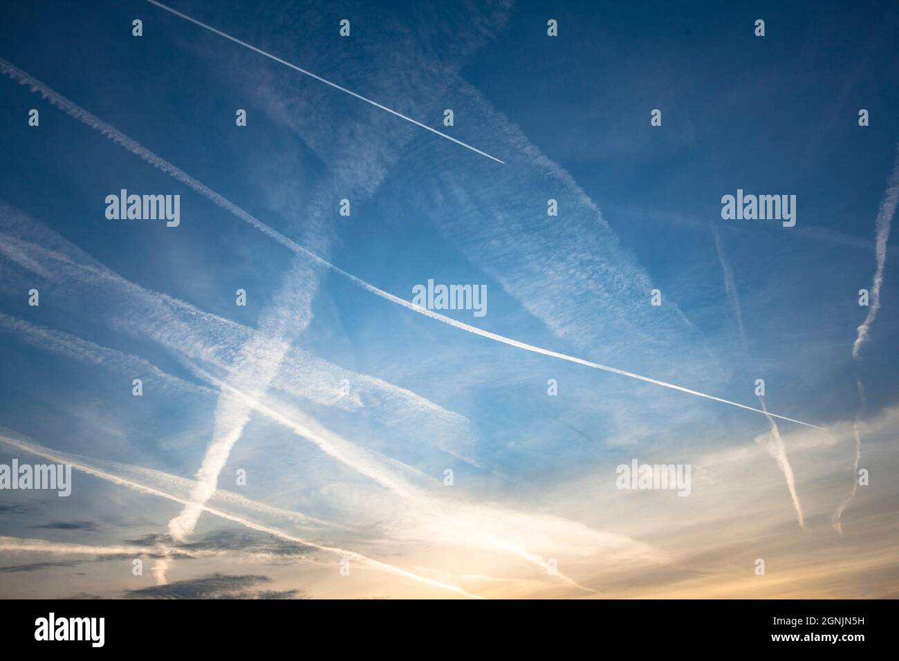 Piste di condensazione sopra la brughiera di Wahner, Troisdorf, Renania settentrionale-Vestfalia, Germania. Kondensstreifen ueber der Wahner Heide, Troisdorf, Nordrhein- Foto Stock