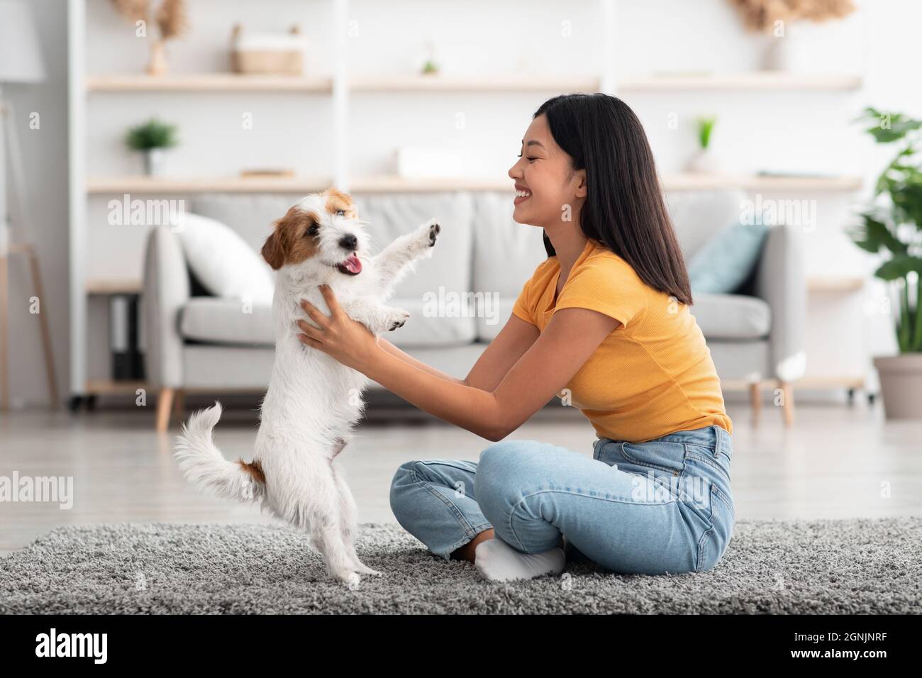 Vista laterale di donna asiatica che tiene jack russel terrier cane Foto Stock