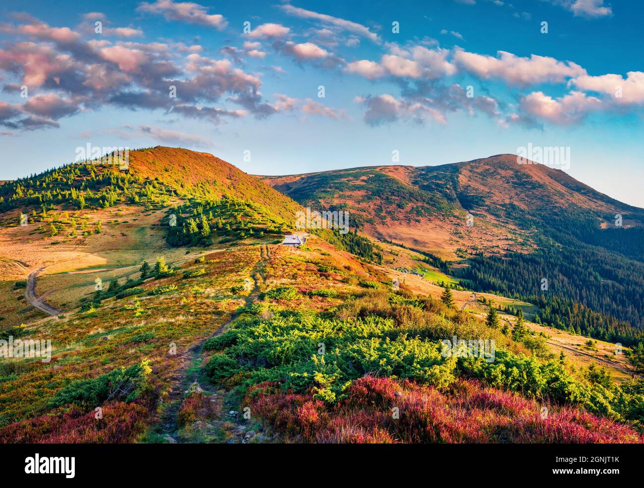Paesaggio colorato con picco Petros sullo sfondo. Splendida scena mattutina dei Carpazi a settembre. Splendida scena all'aperto del villaggio di montagna. Tra Foto Stock