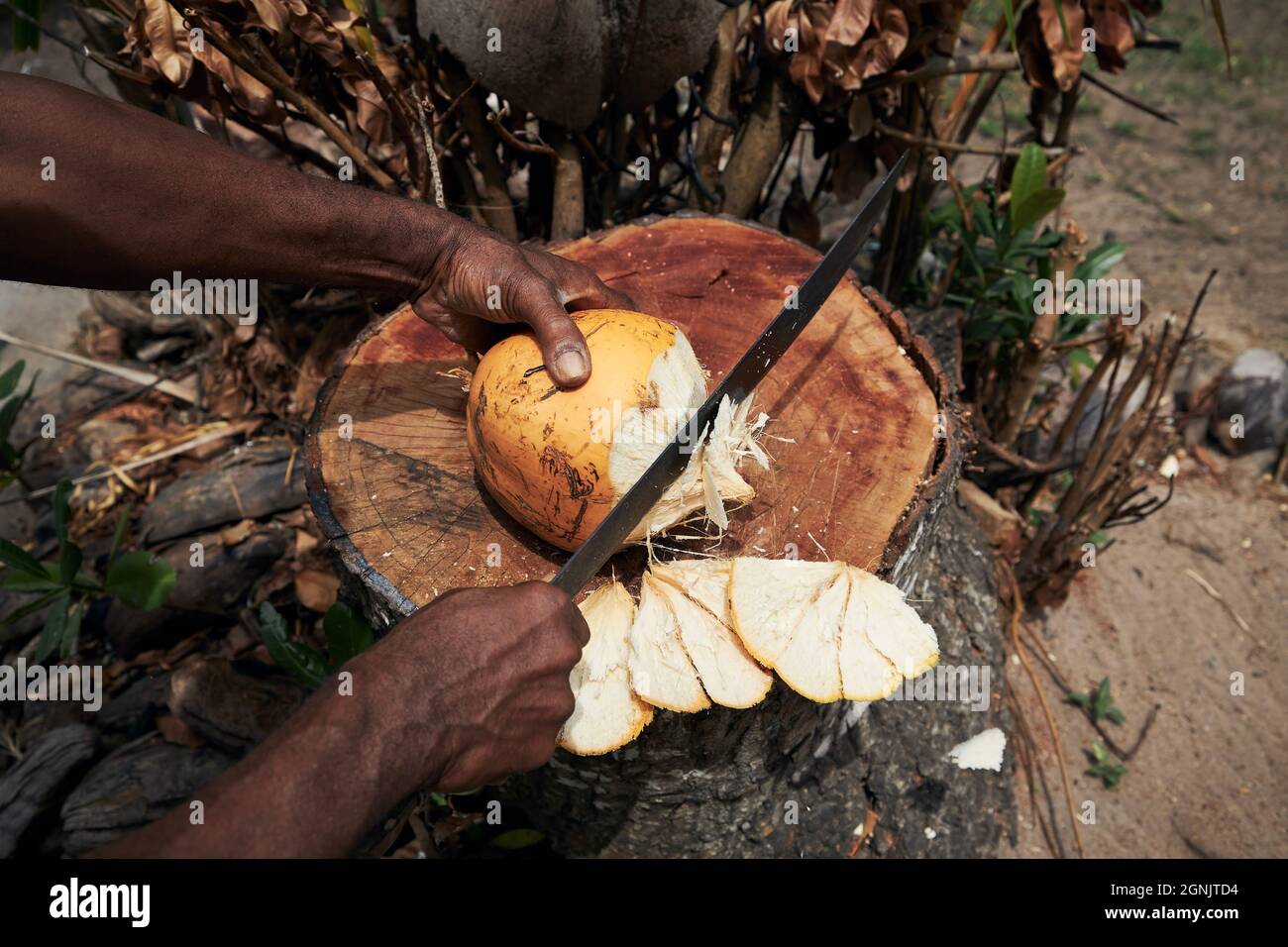 Uomo che tagliano cocco fresco da machete al mercato locale delle Seychelles. Foto Stock