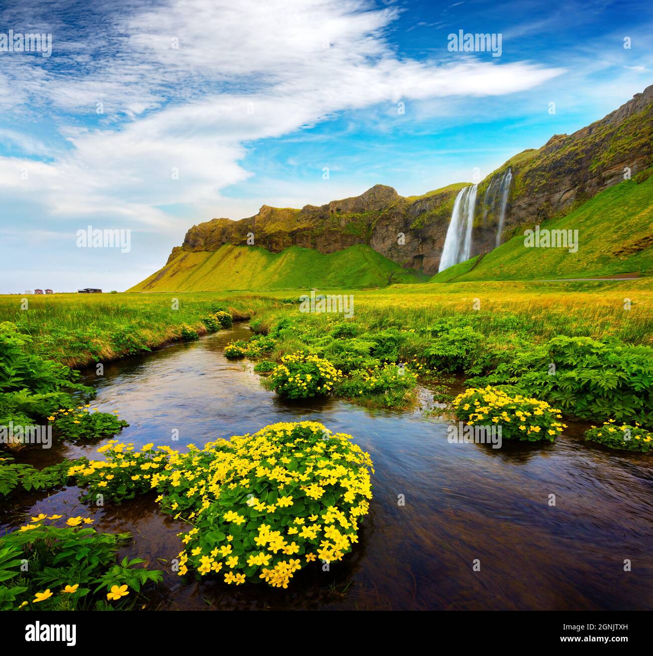 Meravigliosa vista estiva della cascata Seljalandfoss sul fiume Seljalandsa. Splendida scena mattutina di Islanda, Europa. Bellezza della natura concetto sfondo. Foto Stock