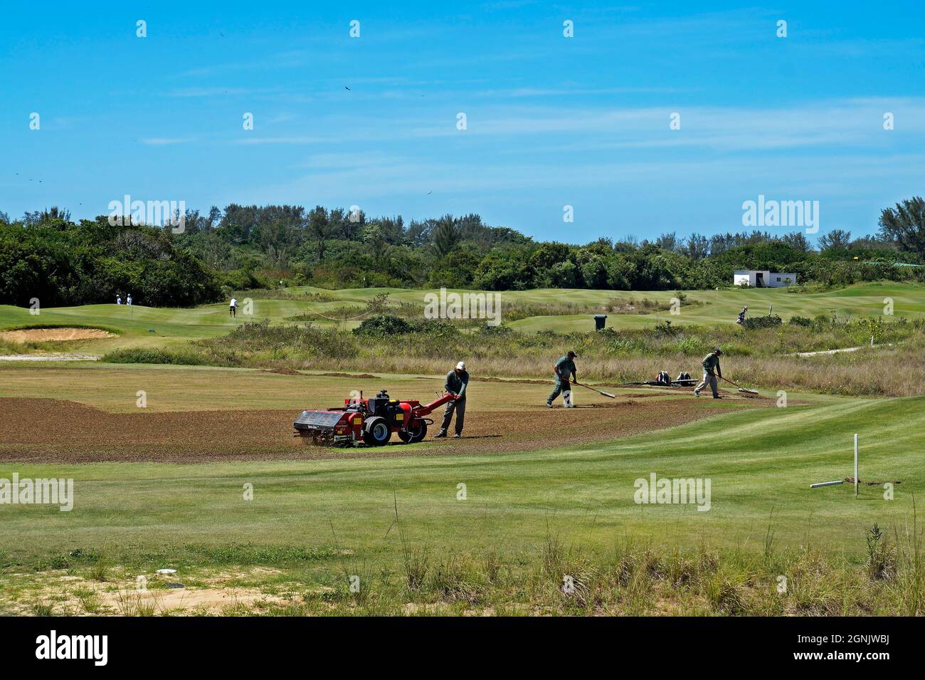 RIO DE JANEIRO, BRASILE - 16 DICEMBRE 2019: Lavoratori di manutenzione del campo da golf. Rio Olympic Golf Course a barra da Tijuca Foto Stock