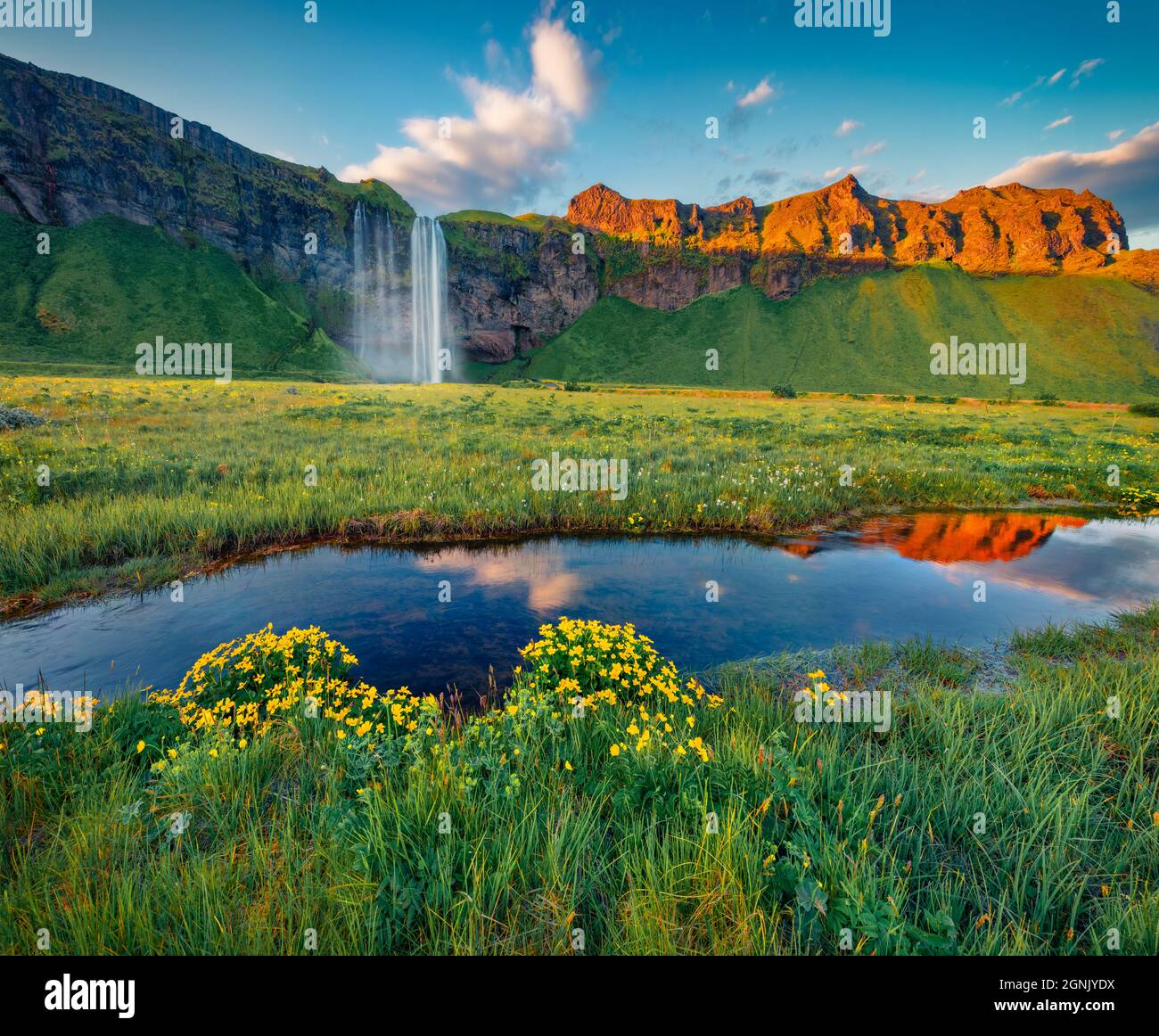 Fotografia di paesaggio. Fresca vista verde della cascata Seljalandfoss. Fantastica scena all'aperto di Seljalandsa Rive. Meravigliosa mattinata estiva in Islanda, Foto Stock