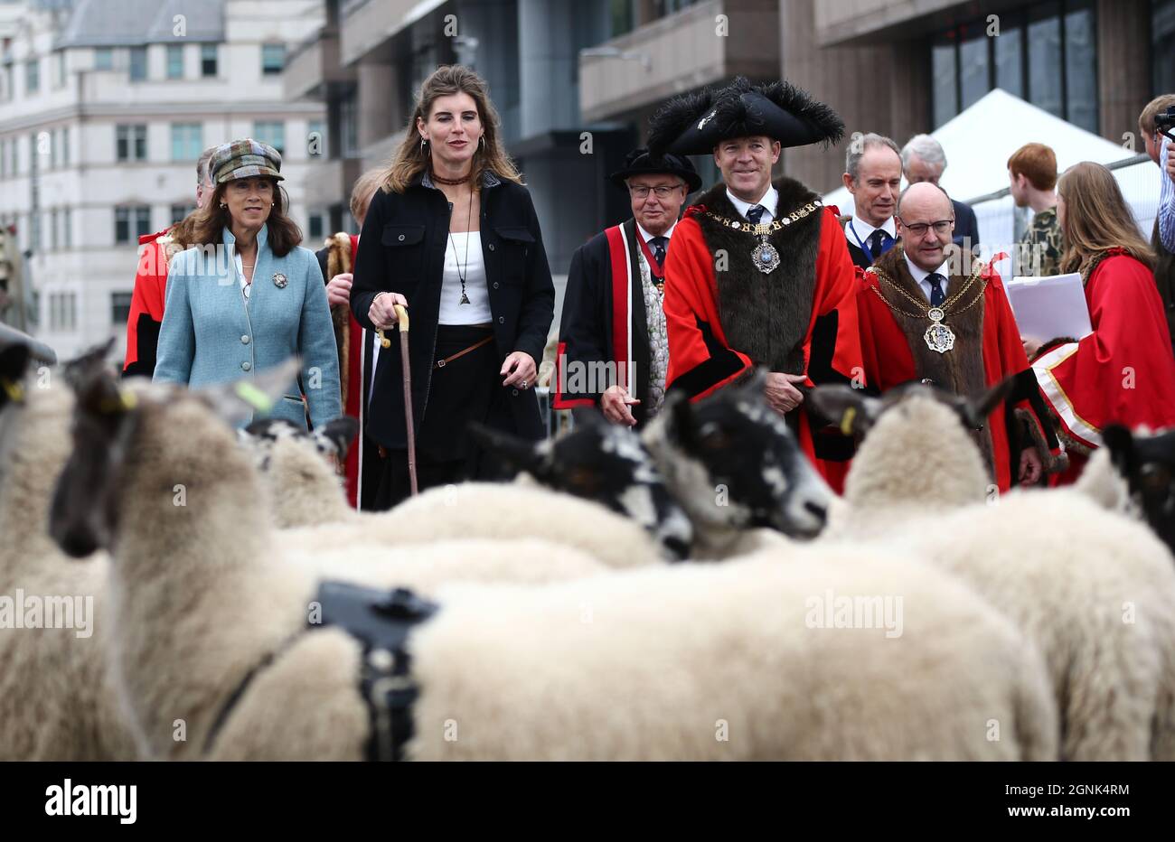 Londra, Inghilterra, Regno Unito. 26 settembre 2021. L'autore più venduto di quattro libri e la star della "Our Yorkshire Farm" di Channel 5, Shepherdess AMANDA OWEN, si unì al Signore Sindaco di Londra WILLIAM RUSSELL nel guidare le pecore attraverso Southwark Bridge. (Credit Image: © Tayfun Salci/ZUMA Press Wire) Foto Stock