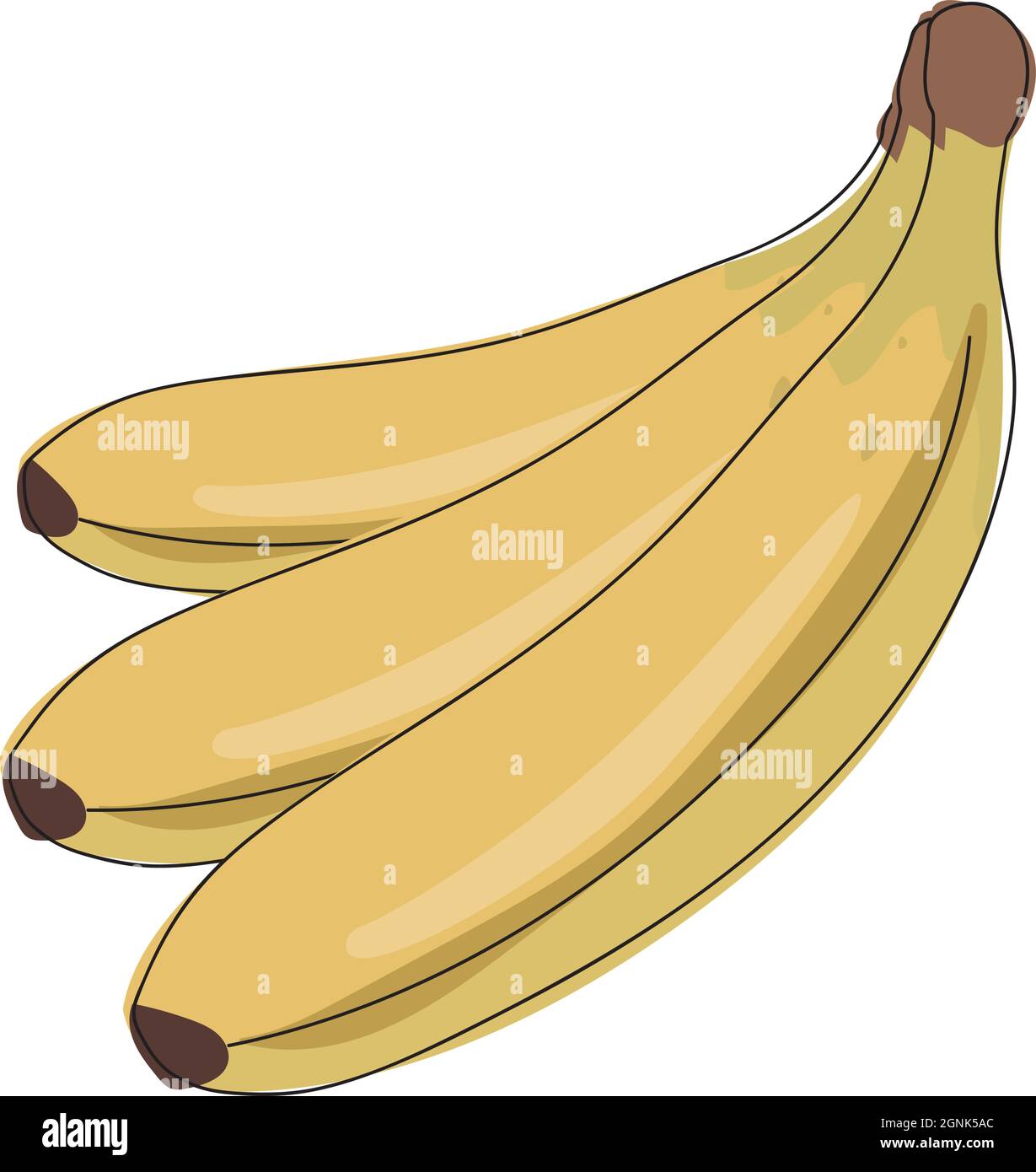 Banana vettoriale. Grappoli di frutta fresca di banana isolati su sfondo bianco. Illustrazione Vettoriale