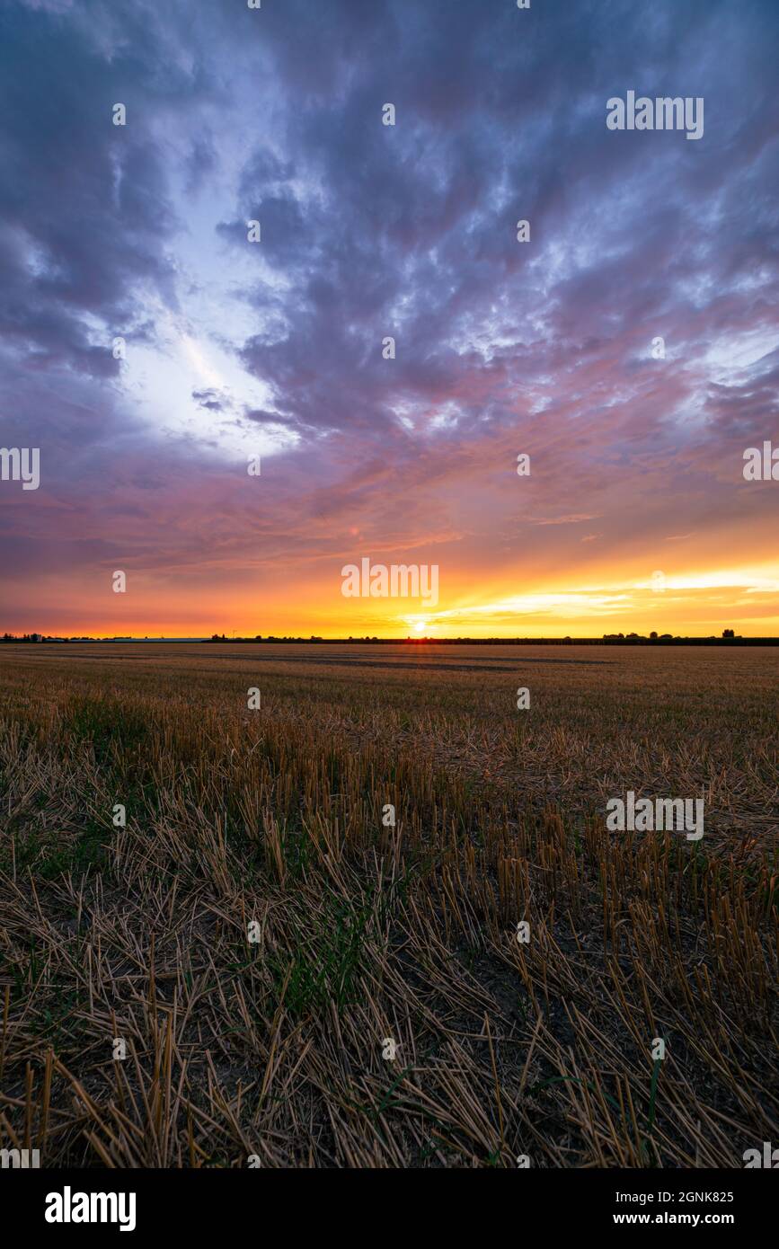 Il sole tramonta su un campo di stoppia di grano Foto Stock