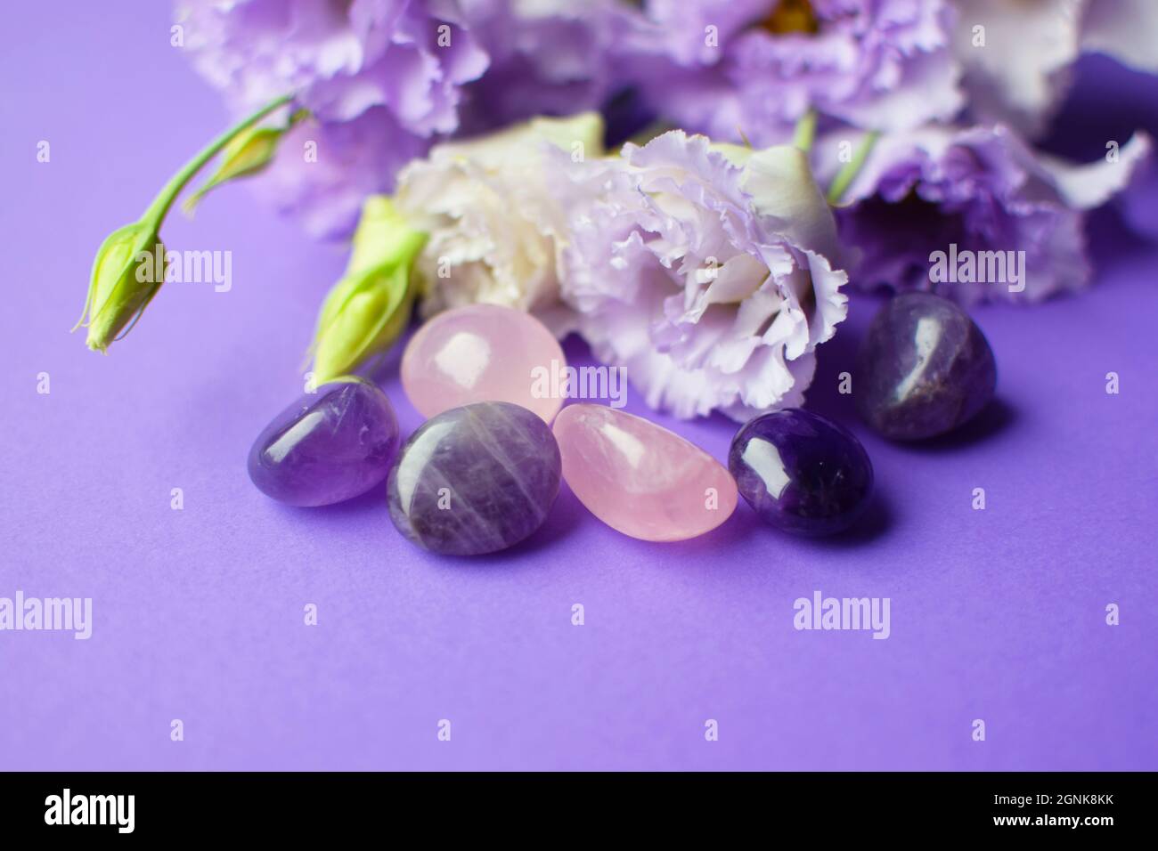 Bellissimi fiori di eustoma violetto (lisianthus) in piena fioritura con pietre naturali ametiste e quarzo rosa. Fiori e pietre semi-preziose su un porpora Foto Stock