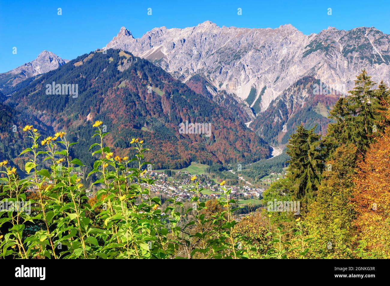 Idilliaca atmosfera autunnale nelle Alpi vicino a Schruns-Tschagguns a Montafon Foto Stock